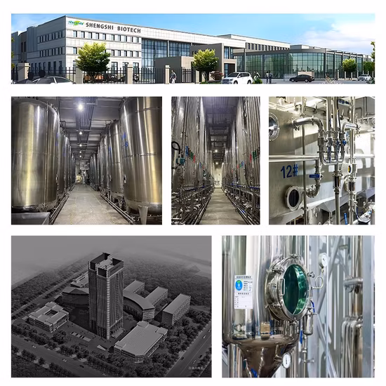 Acido gliossilico monoidrato CAS 563-96-2 di alta qualità di fabbrica al 98,5%.