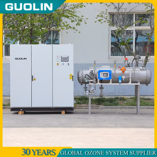 Generatore di ozono industriale per il trattamento dell'acqua e dei gas di scarico