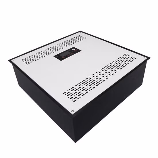 Disinfettante per l'aria con generatore di ozono industriale montato a soffitto Flygoo 50 g/h Disinfettante per ozono